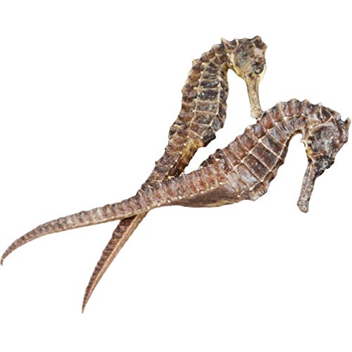 OUYANGHENGZHI Chinese Soup Materials Dried Sea Horse Small Haima 小海马干 1 Pair - Thumbnail 2