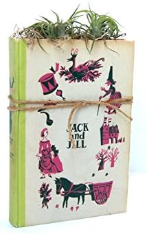 Unique Air Plant Planter with 2 Tillandsia Plants, Handmade from Vintage Books