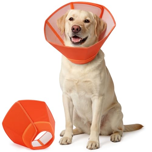 AuraPaw Soft Elizabethan Collar for Dogs After Surgery at Amazon
