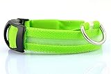 Liroyal Nylon LED Dog Night Safety Collar Flashing Light up W/circular Pendant Collar Green