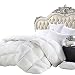 Luxurious Heavy Twin/Twin XL Size Siberian Goose Down Comforter All-Season Duvet Insert, Premium Baffle Box, 1200 Thread Count 100% Egyptian Cotton, 750+ Fill Power, 50 oz, White Damask Striped primary