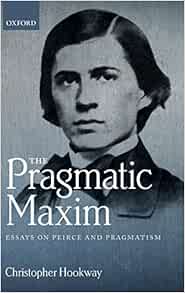 Essay on pragmatism in education image