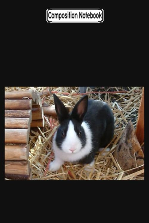 Composition Notebook: Black Dutch Rabbit Dutch Notebook 2020 Journal Notebook Blank Lined Ruled 6x9 100 Pages