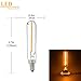 Century Light - 1W LED Filament Long Tubular Night Light Bulb, 2200K Warm White 100LM , Candelabra (E12) Base Light Bulb,T6 ( T20 ) Short Tube Shape ,10 Watt Equivalent , Dimmable , UL-Listed (1-PACK)