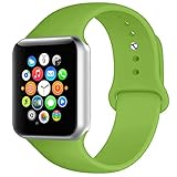 BOTOMALL Compatible with Iwatch Band 38mm 40mm 42mm 44mm Classic Silicone Sport Replacement Strap Bracelet for Iwatch All Models Series 4 Series 3 Series 2 1 (Green,42/44mm M/L)
