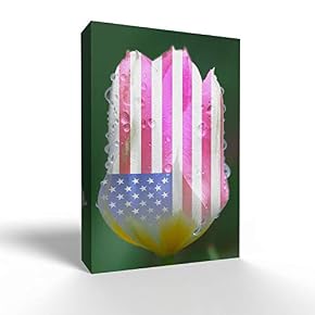 US Flag on Flower