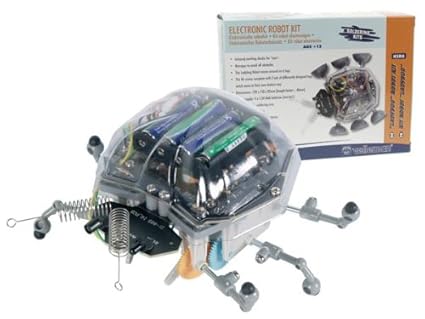 ladybug robot kit