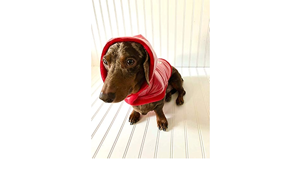 dachshund clothes amazon