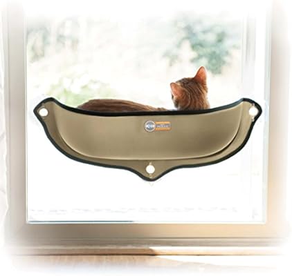 english bulldog red heeler mix