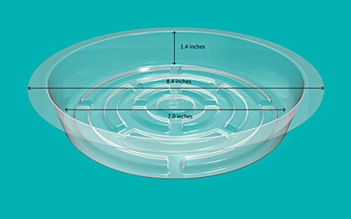PHYEX 12 Pack of 8 inch Clear Plastic Plant Saucers, Durable Plant Tray for Indoor and Outdoor Plants