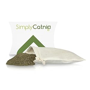 Simply Catnip Premium Extra Strong Bud Catnip