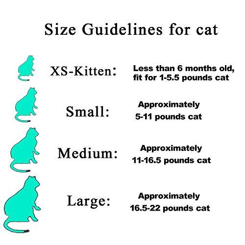 YMCCOOL 100pcs Cat Nail Caps/Tips Pet Cat Kitty Soft Claws Covers Control Paws of 10 Nails Caps and 5Pcs Adhesive Glue 5 Applicator with Instruction