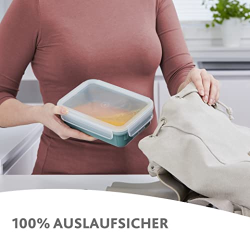 Emsa N10123 Clip & Close Color Edition Frischhaltedose | 0,55 Liter | 100% auslaufsicher/hygienisch | BPA-frei | spülmaschinen-, mikrowellen- und gefriergeeignet | Koralle thumbnail 3