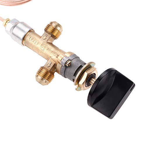 2 Aupoko+Control+Thermocouple+Replacement+Fireplace