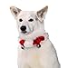 Outward Hound Kyjen PP01761 Dog Bell Collar Holiday Accessory For Dogs, Large, Red
