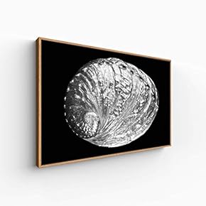 Canvas Wall Art for Living Room, Bedroom Black and White Article Framed Canvas Prints for Home Decoration Ready to Hang - 16x24 inches