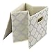 homyfort Foldable Cloth Storage Bins, Fabric Storage Cubes Organizer 12x12 with Dual Plastic Handles for Closet,Bedroom, Toys, 6 Pack,Beige Large