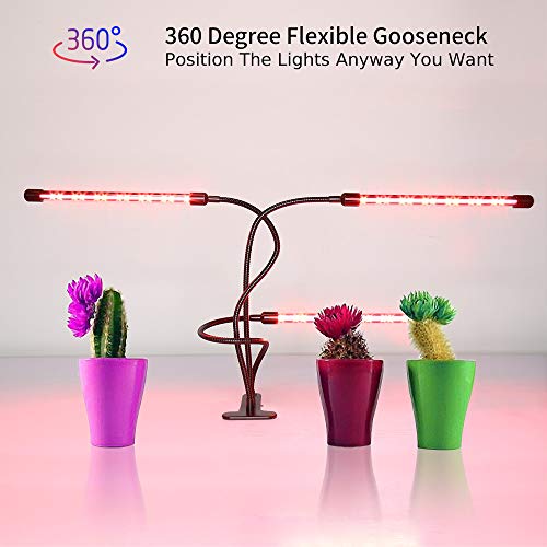 4 Light+Lights+Indoor+Plants+Spectrum