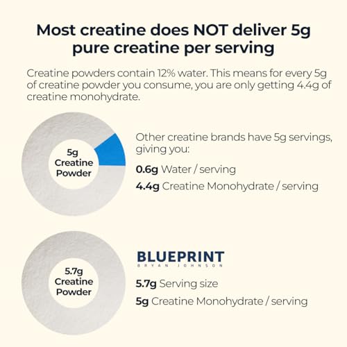 Blueprint Bryan Johnson Creatine Monohydrate Powder – Amino Acid Powder - Supplement Supports Muscle Growth, Recovery, Strength & Focus – Unflavored Creatine for Women & Men – 5g Dose – 100 Servings
