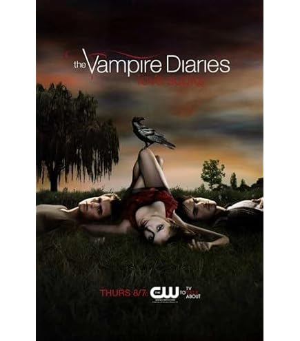 ヴァンパイアダイアリーズ　ポスター　当時もの Amazon.com: The Vampire Diaries Movie Poster Family Silk