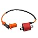 GOOFIT Racing Ignition Coil for CG 125cc 150cc 200cc 250cc ATV Scooter Moped