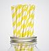 Secret Life(TM) Yellow, Lime Green, Blue and Fuchsia Striped Paper Straws, 100% Biodegradable Color Straws Set + 100% Biodegradable Container Box 100ct (PSCFPR02)