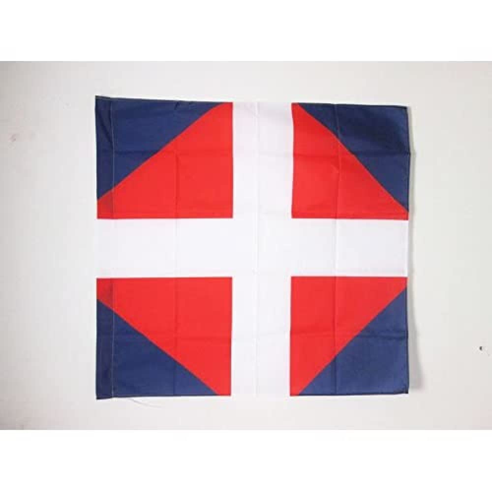 AZ FLAG - French Empire Infantry Regiment Viennois 1776-1794 Flag - 3x3 Ft - 100% Polyester Army of France Banner with Sleeve - Fade Resistant - Vivid Colors - 3' x 3' Feet - 90x90 Cm