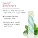 100% PURE Organic Mint Lip Balm