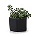 T4U 2.75 Inch Ceramic Six Sizes Semi Luster Surface Succulent Plant Pot/Cactus Plant Pot Flower Pot/Container/Planter Matte Black Package 1 Pack of 4