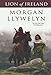 Lion of Ireland (Celtic World of Morgan Llywelyn) by Morgan Llywelyn