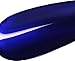 JC Cole 8-Inch Metal Shoehorn - Electric Blue