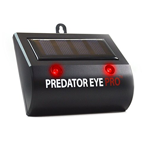 Aspectek Predator Eye PRO - Kick Stand Solar Powered Predator Light Deterrent Night Time Animal Repeller for Wild Animals Rodents, Cats, Dogs, Birds, Raccoon, Wolves, Foxes