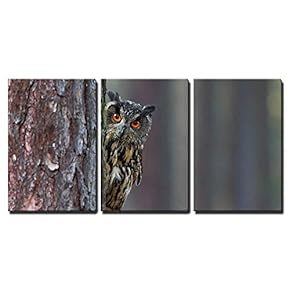 3 Piece Canvas Wall Art - Eurasian Eagle Owl, Bubo Bubo, Hidden of Tree Trunk in The Winter Forest - Modern Home Art Stretched and Framed Ready to Hang - 16"x24"x3 Panels