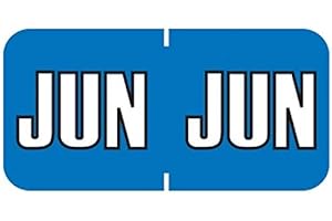 Doctor Stuff - File Folder Month Labels, June, Sycom End Tab Match - SYET Series Stickers, Blue, 3/4" x 1-1/2", 252/Pack