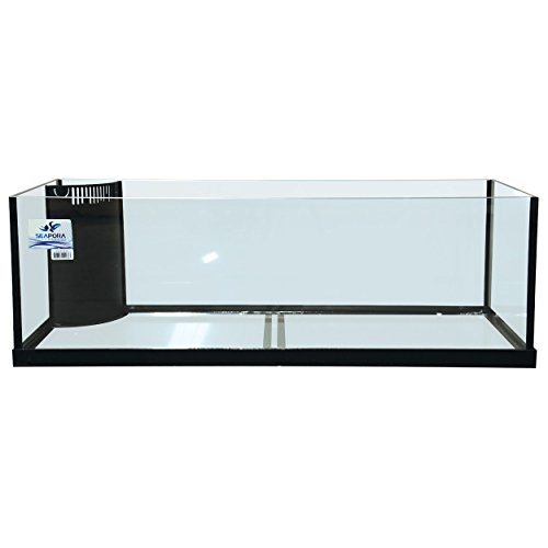 Seapora 56219 Edge Series Aquarium Reef Ready Frag, 80 Gallon