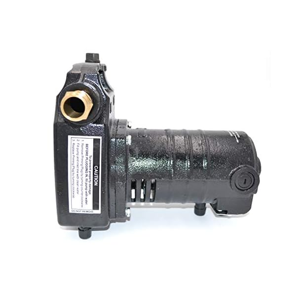 Portable Cast Iron Electric Utility Transfer Water Pump Includes