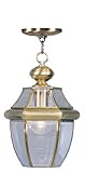 Livex Lighting 2152-01 Monterey 1-Light Outdoor Hanging Lantern, Antique Brass