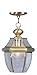 Livex Lighting 2152-01 Monterey 1-Light Outdoor Hanging Lantern, Antique Brass