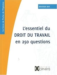 L' essentiel du droit du travail en 250 questions