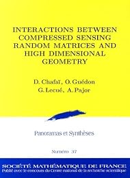 Interactions between compressed sensing random matrices and high dimensional geometry