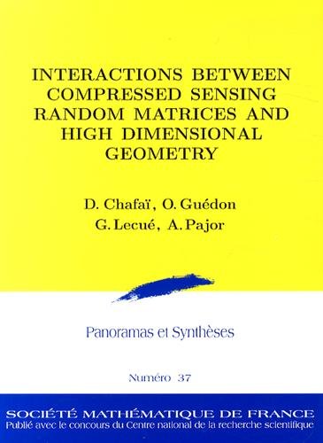 Interactions between compressed sensing random matrices and high dimensional geometry
