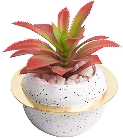 Cgbf 人工多肉植物 偽造植物 造花の創造的な装飾 人工観賞植物 家庭