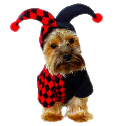 GOGO Dog Clown Halloween Costume
