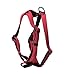 SPORN Ultimate Control No Pull Dog Harness for Large Dogs - 4-in-1 Adjustable L/XL Dog Harness with Front, Back & Dual-Clip Options & Emergency Grab Handle - Easy On/Off, Padded Comfort (Red, L/XL)