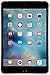 Apple iPad mini 4 (16GB, Wi-Fi + Cellular, Space Gray)