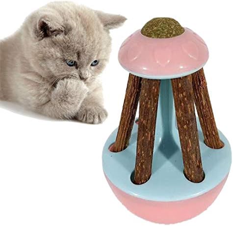 Crabitin 猫おもちゃ 噛むおもちゃ 木製 ボール ブロック 運動不足解消 ストレス解消 猫遊び用 ペット用品 トレーニング B085g6nsjz 611円 人気海外一番 100 品質保証 全品送料無料 即日出荷 Sale開催中