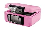 SentrySafe 1200PK Fire Chest, Pink (Tools & Home Improvement)