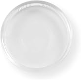 Levenger Circa Translucent Discs &ndash; 1-Inch Clear Plastic Discs, Set of 22 for Disc-Bound Notebooks, Durable Lightweight Design for Customizable Notebook Binding