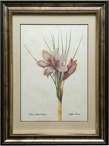 Amazon ピーリモ Pealimo インテリア 絵画 モダン おしゃれ 植物画 ボタニカルアート ピエール ジョゼフ ルドゥーテ 43cm 33cm 15 980 Saffron Crocus 花 額絵 額装品 複製版 Pierre Joseph Redoute エクステリア