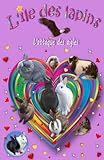 L'île des lapins: 5 - L'attaque des aigles (Volume 5) (French Edition) by Ellen Delaven, Elize Monbiola